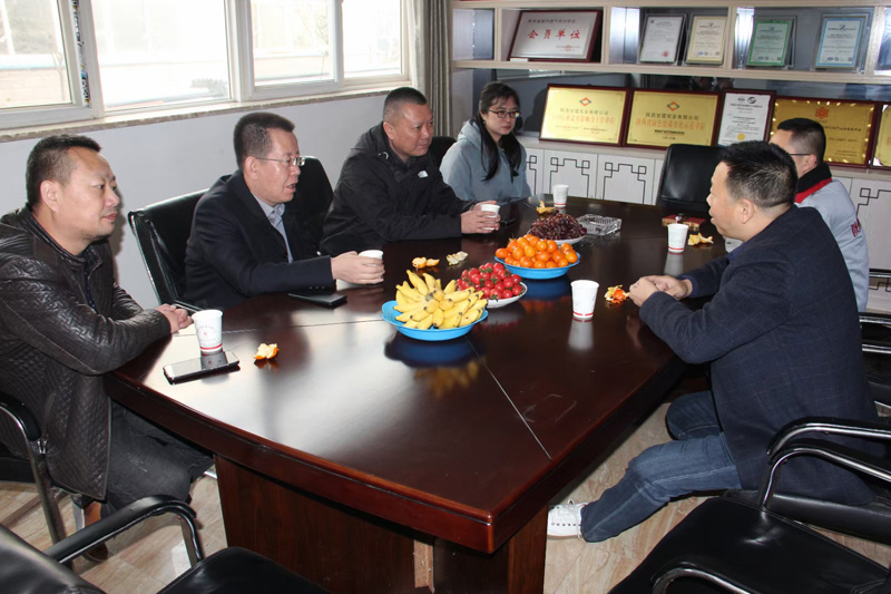 新疆天業(yè)集團公司董事長李河、譚新民等人蒞臨陜西甘霖實業(yè)公司考察指導(dǎo)工作